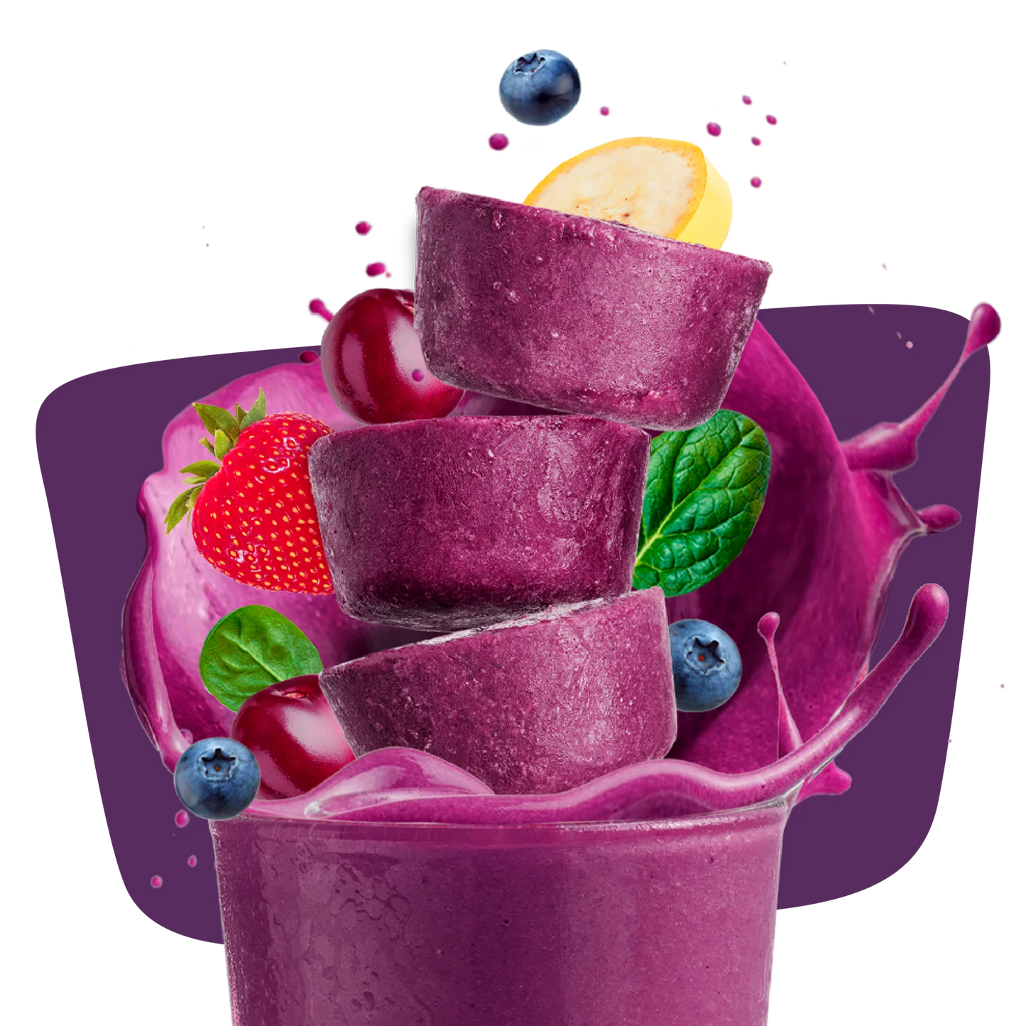 Blender Bites Power Berry