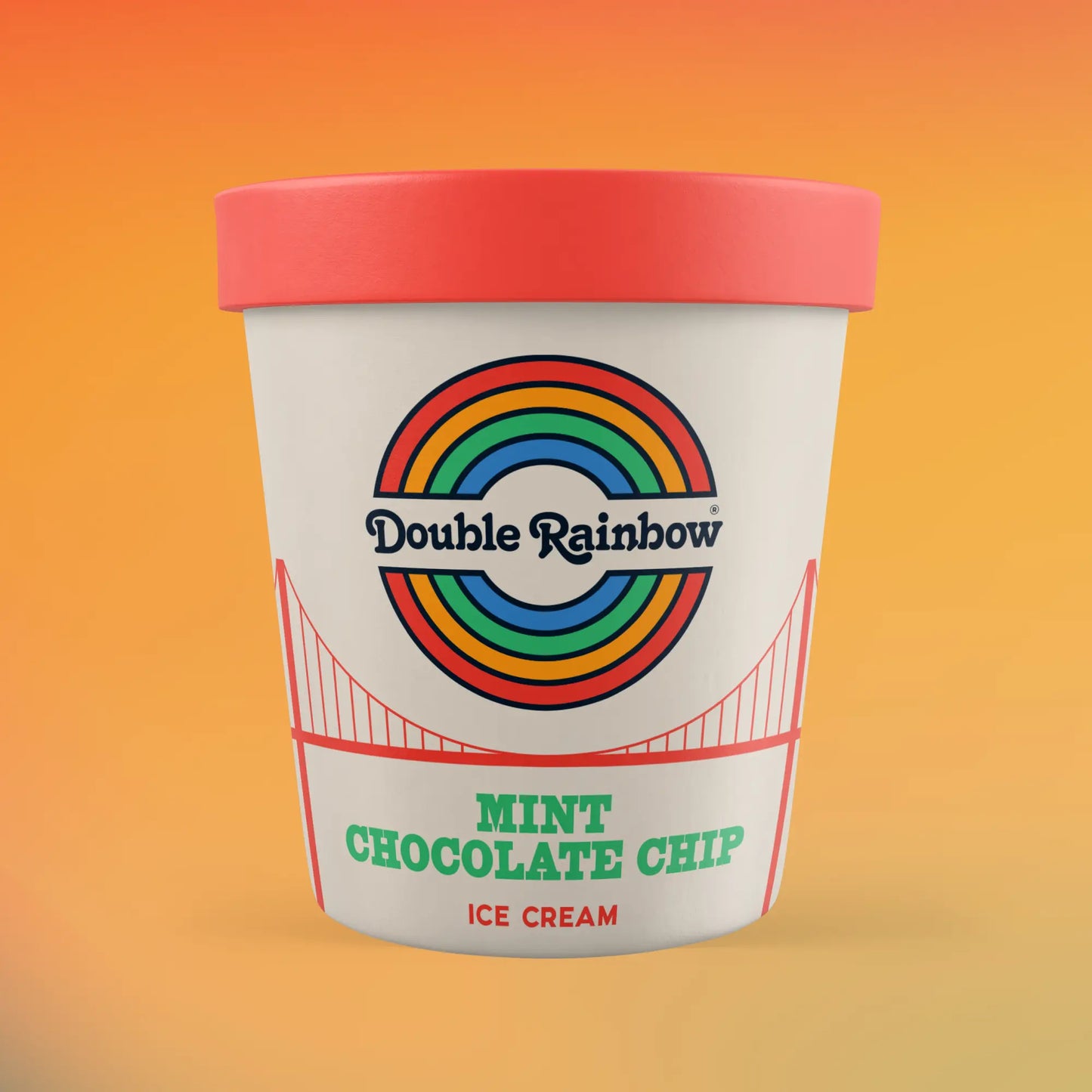 Double Rainbow Mint Chocolate Chip